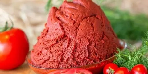 تصویر 5 از رب گوجه کارخانه‌ ای ستاره دخت با کیفیت بالا و طعم ثابت